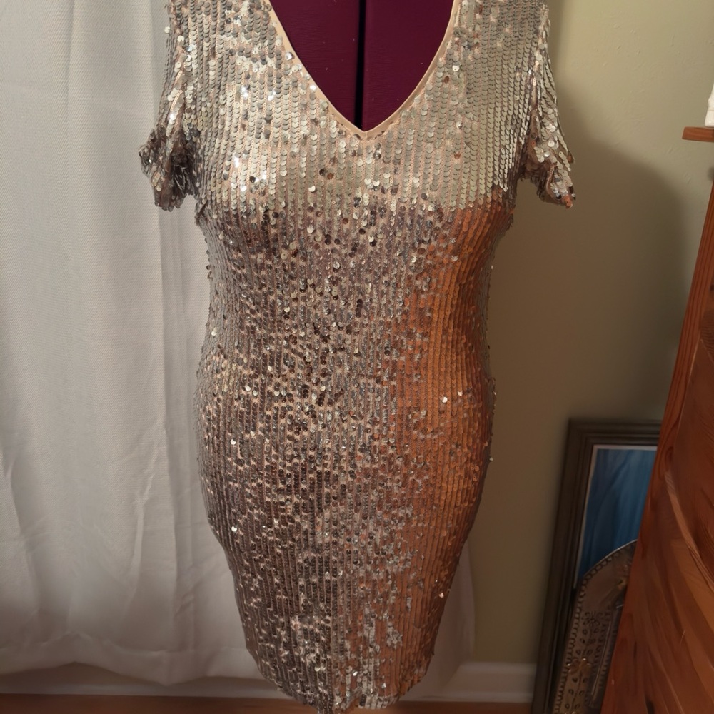 NWT Gorgeous Heartloom brand Sparkly Sequin Pink and Silver Dress, sz Large